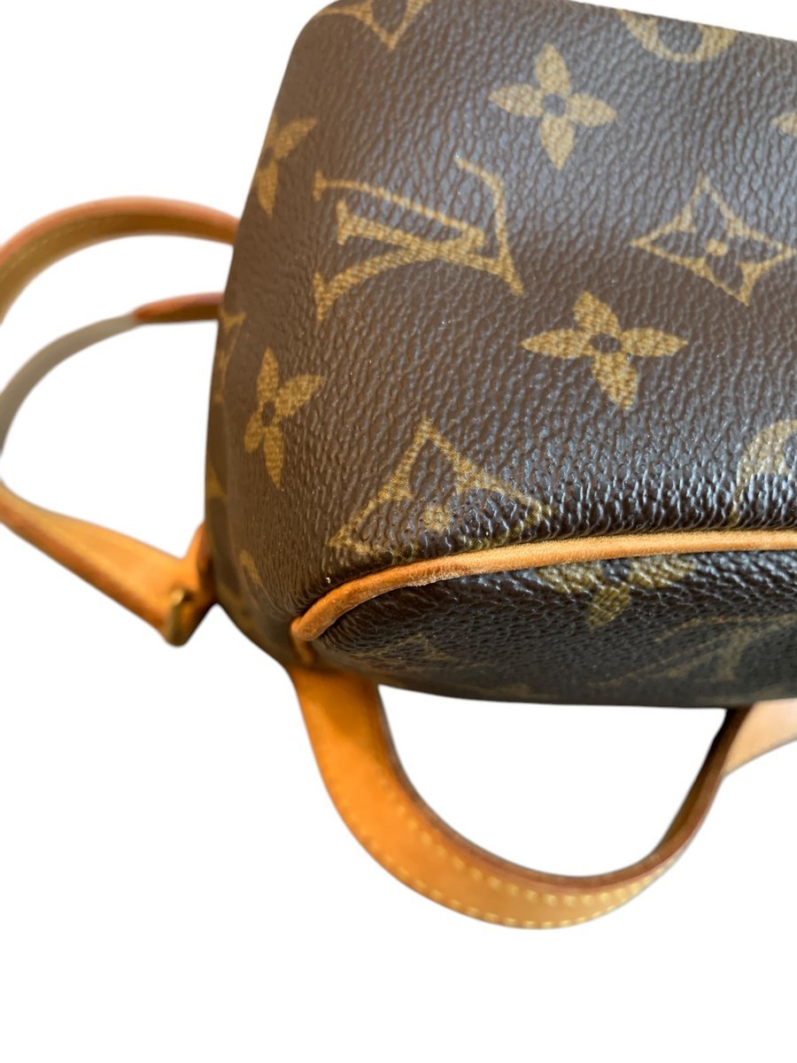 Louis Vuitton Viva Citè PM monogram borsa tracolla - AgeVintage