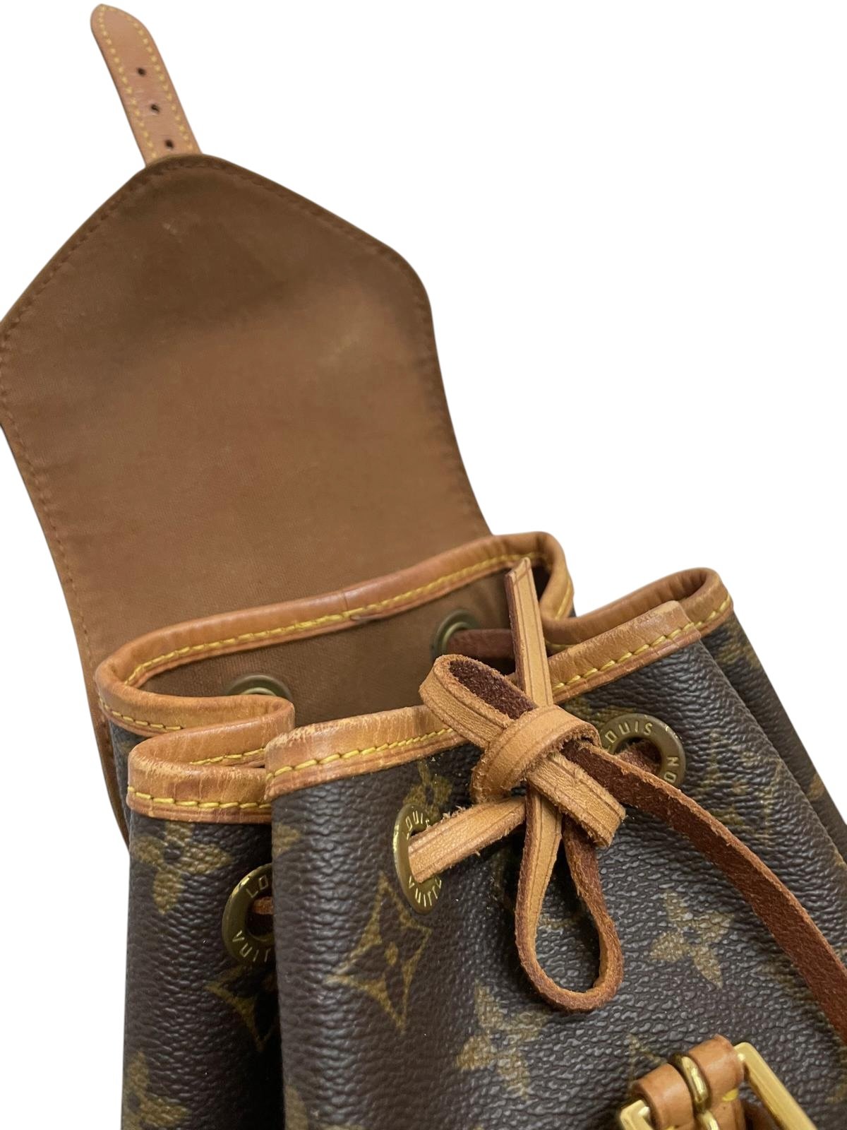 Louis Vuitton zaino montsouris PM monogram