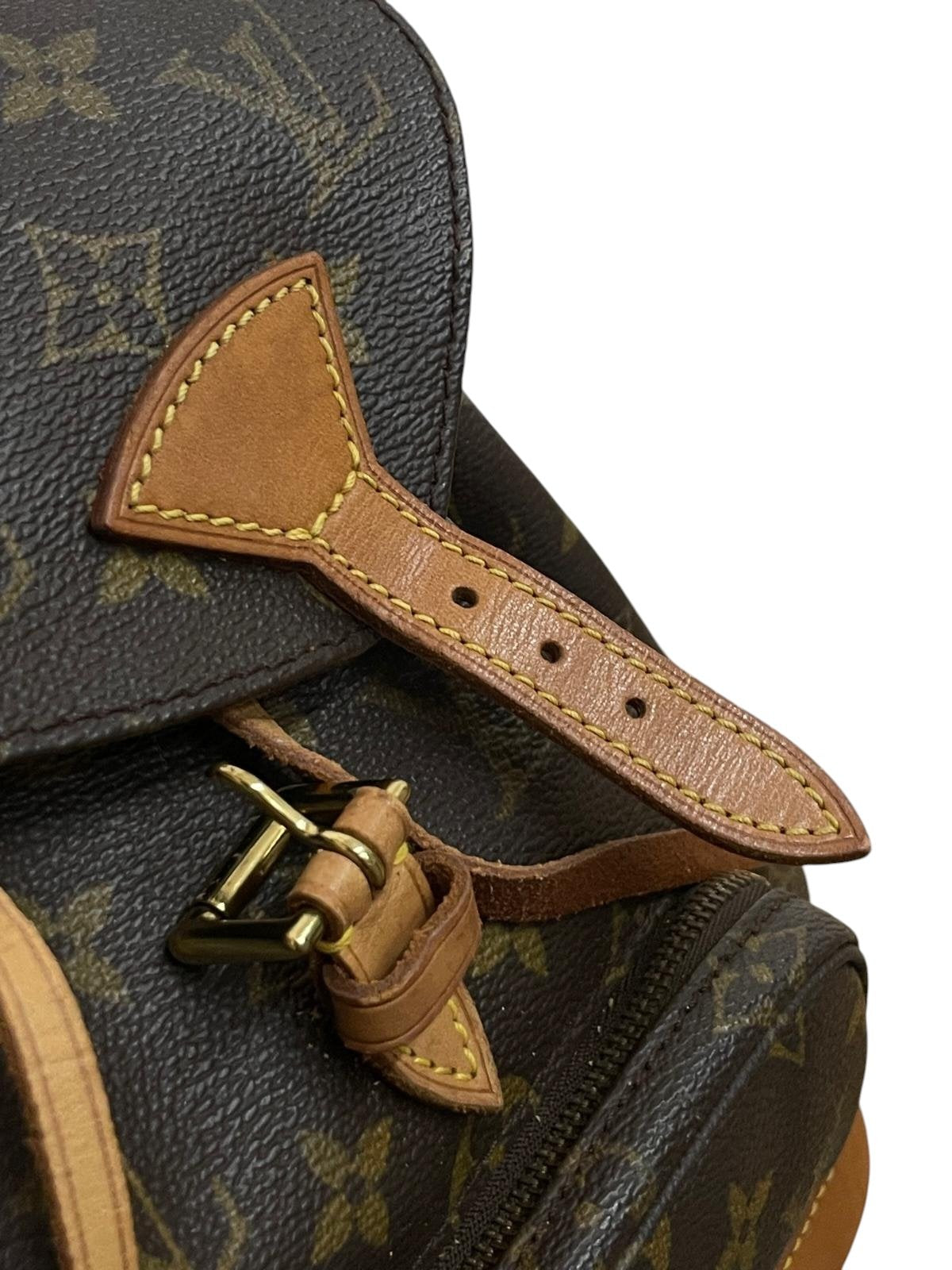Louis Vuitton zaino montsouris PM monogram