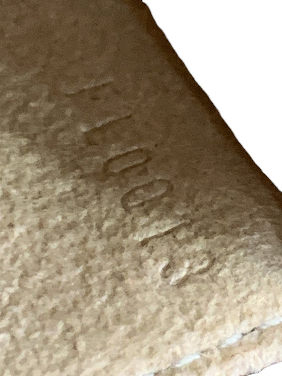 Louis Vuitton Florentine PM monogram Marsupio - AgeVintage